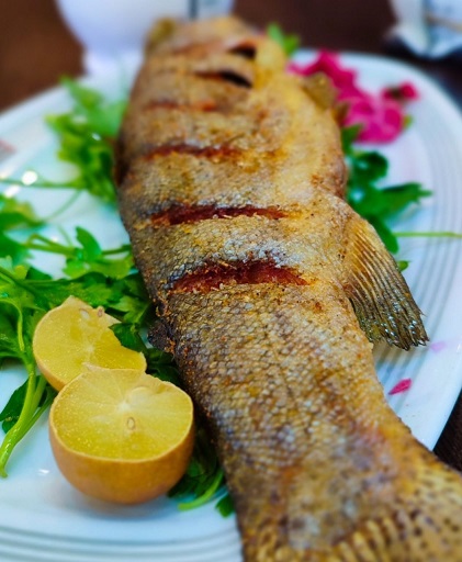 آشنایی با انواع ماهی و ویژگیهای آنها | فواید ماهی در رژیم غذایی و سلامت قلب